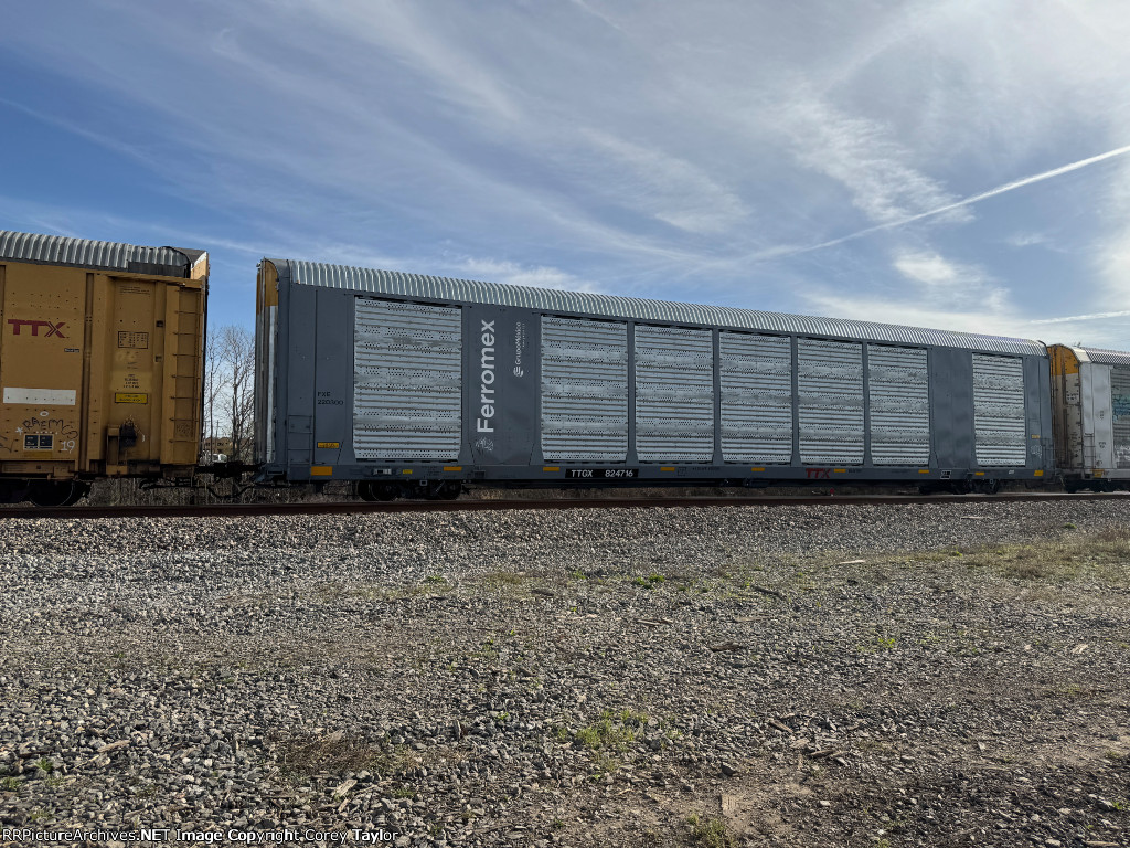 TTGX 824716